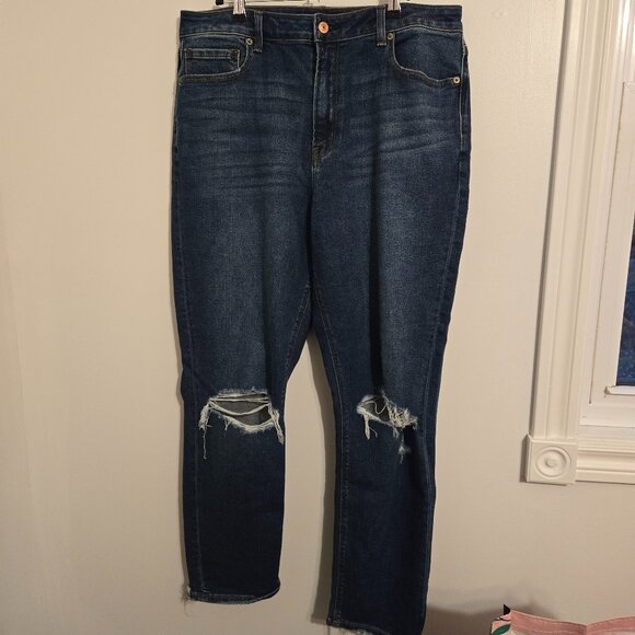 American Eagle Mom Jeans Size 14Long - Picture 1 of 4